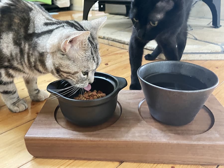 ねこちゃん、犬ちゃんの木製おしゃれ餌入れ