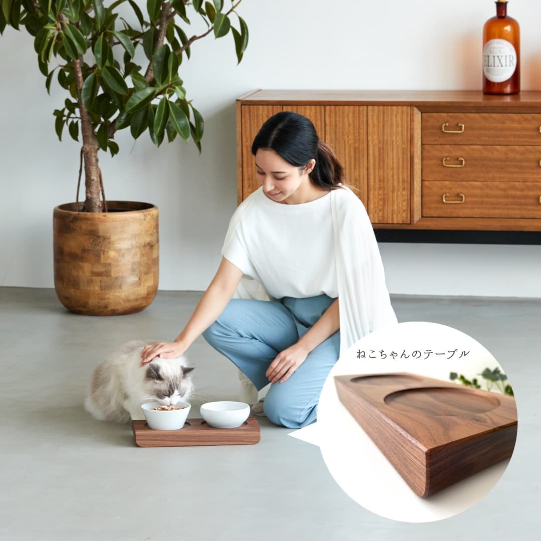 ねこ　猫　まんま台　チュール　ペット　犬　ご飯　ごはん